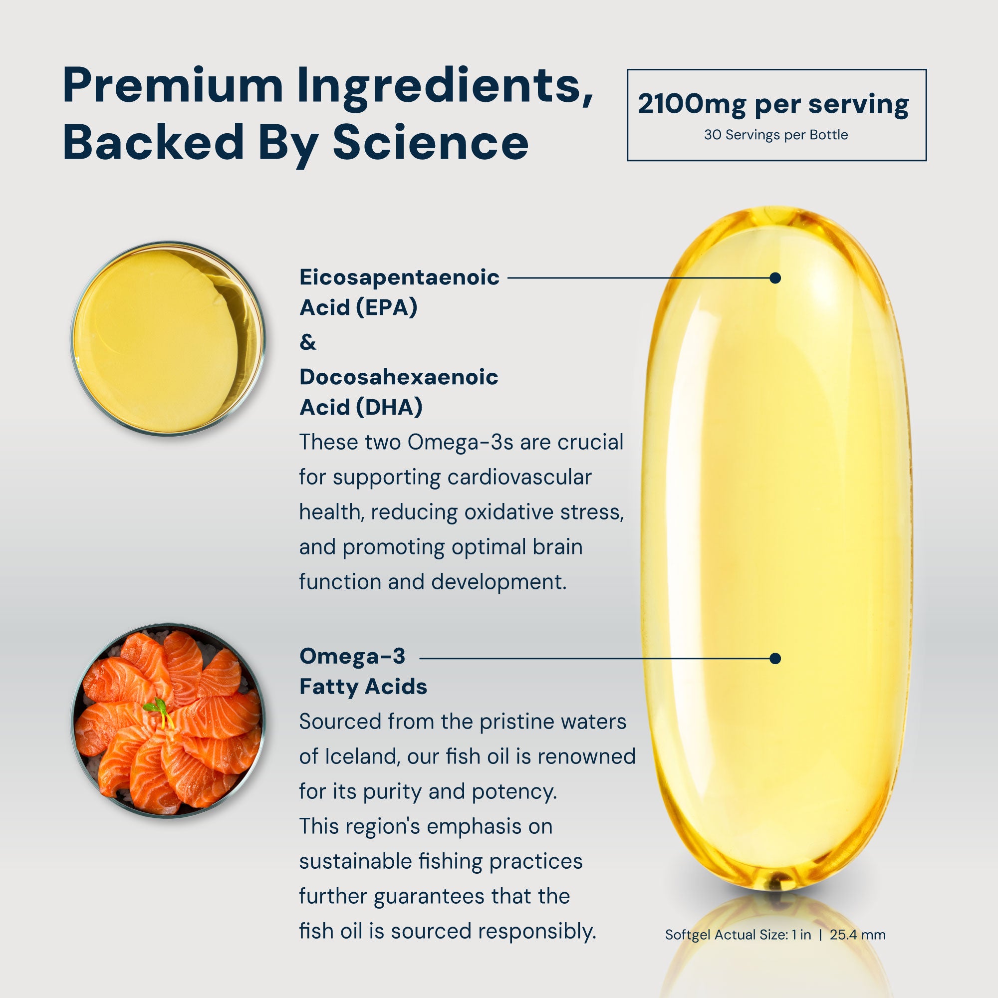 N4® Icelandic Omega-3 Fish Oil