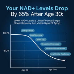 NAD3 gallery image